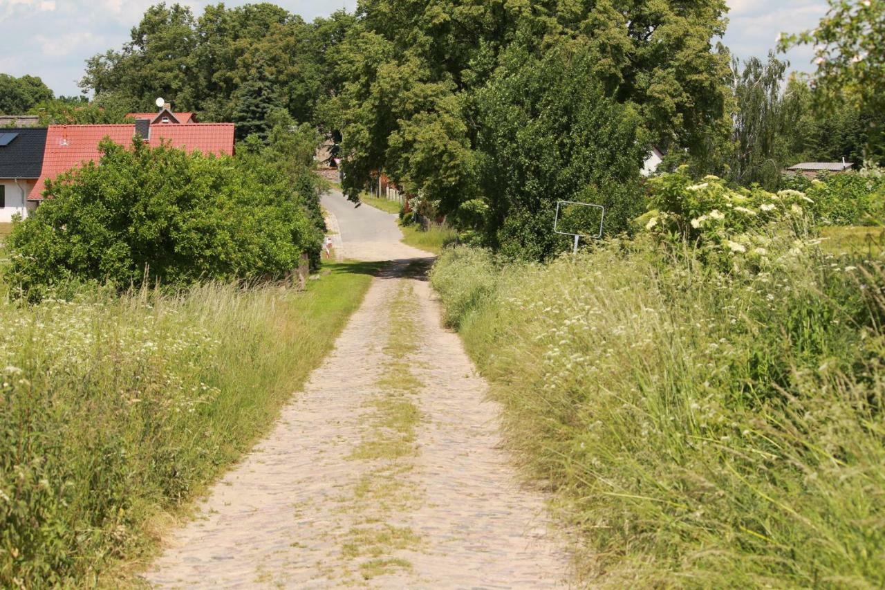 Bungalow Gross Dratow Dış mekan fotoğraf